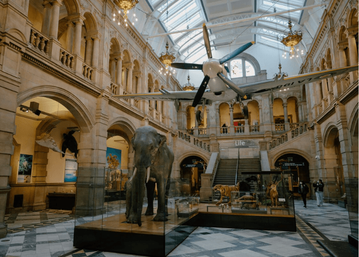 Kelvingrove Art Gallery and Museum.png